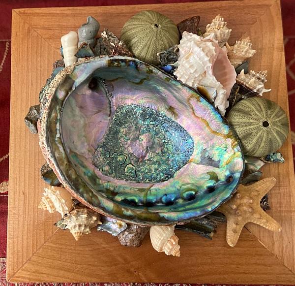 Display Abalone Shell 5-6" on Wood Crate - Soul Sparks