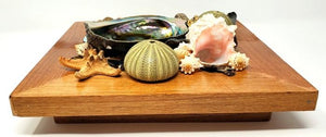 Display Abalone Shell 5-6" on Wood Crate - Soul Sparks