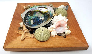 Display Abalone Shell 5-6" on Wood Crate - Soul Sparks